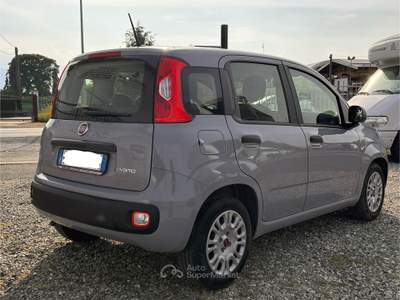 Fiat Panda FIAT Panda 1.0 FireFly S&S Hybrid Grigio usata Cavour