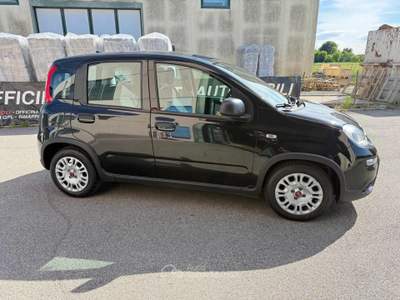 Fiat Panda 1.0 FireFly S&S Hybrid Nero usata Venezia