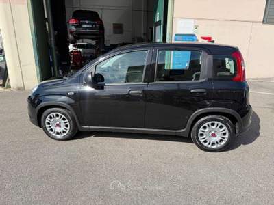 Fiat Panda 1.0 FireFly S&S Hybrid Nero usata Venezia