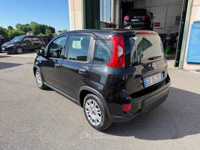 Fiat Panda 1.0 FireFly S&S Hybrid Nero usata Venezia
