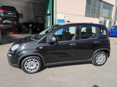 Fiat Panda 1.0 FireFly S&S Hybrid Nero usata Venezia