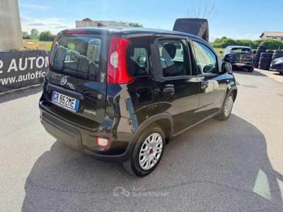 Fiat Panda 1.0 FireFly S&S Hybrid Nero usata Venezia