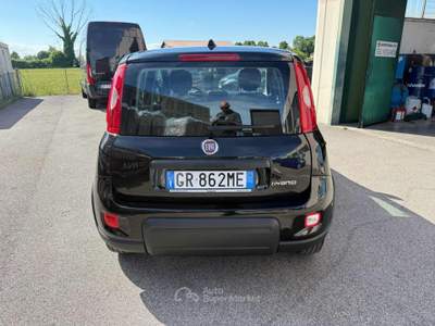 Fiat Panda 1.0 FireFly S&S Hybrid Nero usata Venezia