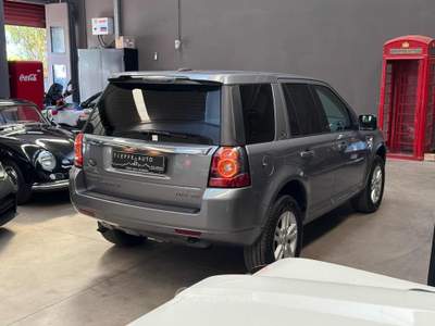 Land Rover Freelander 2.2 TD4 S.W. SE Grigio usata Bologna