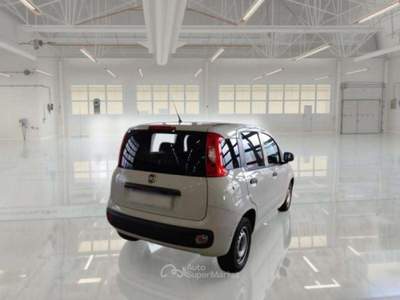 Fiat Panda Panda 1.2 69 CV VAN 2 POSTI EURO6 POP -  FX994DX Bianco usata Basiliano