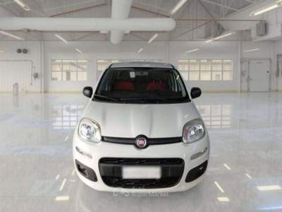 Fiat Panda Panda 1.2 69 CV VAN 2 POSTI EURO6 POP -  FX994DX Bianco usata Basiliano