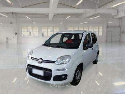 Fiat Panda Panda 1.2 69 CV VAN 2 POSTI EURO6 POP -  FX994DX Bianco usata Basiliano