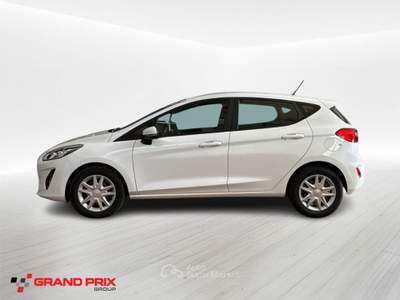 Ford Fiesta 1.5 EcoBlue 5 porte Business Bianco usata Castenaso