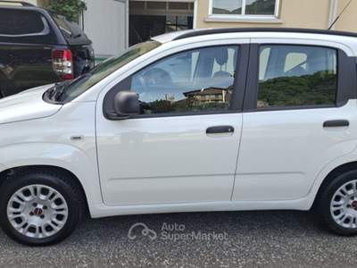 Fiat Panda 1.2 Easy UNICO PROPRIETARIO Bianco usata Varallo