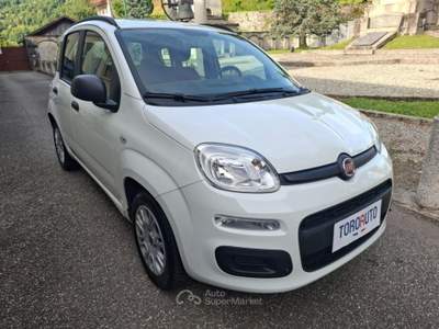 Fiat Panda 1.2 Easy UNICO PROPRIETARIO Bianco usata Varallo