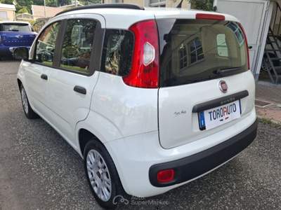Fiat Panda 1.2 Easy UNICO PROPRIETARIO Bianco usata Varallo