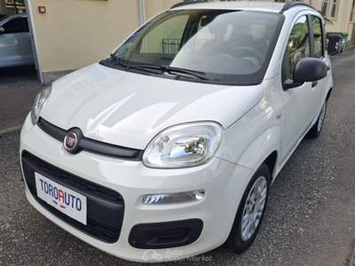 Fiat Panda 1.2 Easy UNICO PROPRIETARIO Bianco usata Varallo