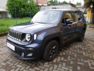 Jeep Renegade Renegade 1.6 mjt Business 2wd 130cv Grigio usata CALUSO