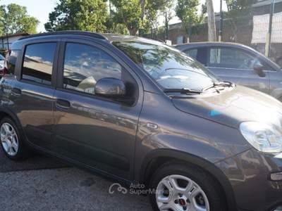 Fiat Panda 1.0 FireFly S&S Hybrid City Life Grigio usata Roma
