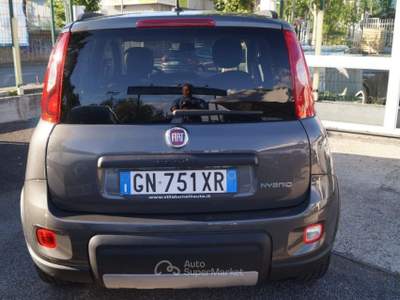 Fiat Panda 1.0 FireFly S&S Hybrid City Life Grigio usata Roma
