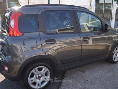 Fiat Panda 1.0 FireFly S&S Hybrid City Life Grigio usata Roma