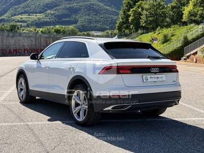 Audi Q8 AUDI Q8 45 TDI quattro tiptronic Bianco usata Trento