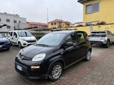 Fiat Panda 1.0 FireFly S&S Hybrid Nero usata Arcore