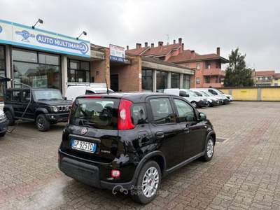 Fiat Panda 1.0 FireFly S&S Hybrid Nero usata Arcore