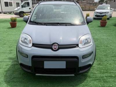 Fiat Panda FireFly S&S Hybrid Grigio usata Giugliano in Campania