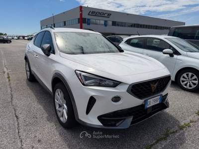 Cupra Formentor 2.0 TDI 4Drive DSG Bianco usata Gemona del Friuli