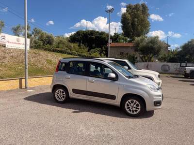 Fiat Panda 1.2 Lounge GPL Bianco usata Civitavecchia