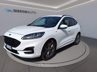 Ford Kuga 1.5 ecoblue st-line x 2wd 120cv auto Bianco usata Grumolo delle Abbadesse