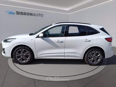 Ford Kuga 1.5 ecoblue st-line x 2wd 120cv auto Bianco usata Grumolo delle Abbadesse