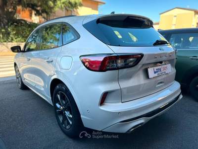 Ford Kuga EcoBlue 120 CV 2WD ST-Line usata Brescia