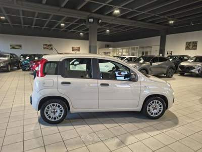 Fiat Panda 1.2 Easy NEOPATENTATI Beige usata Gallarate