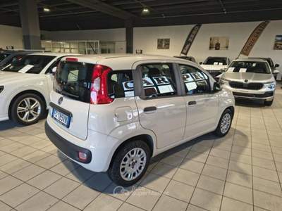 Fiat Panda 1.2 Easy NEOPATENTATI Beige usata Gallarate