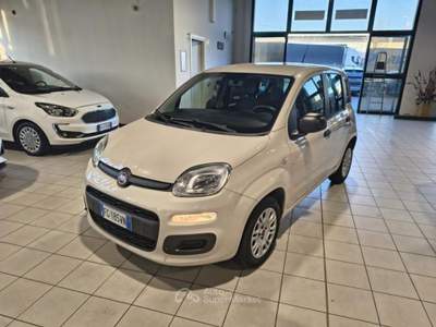 Fiat Panda 1.2 Easy NEOPATENTATI Beige usata Gallarate