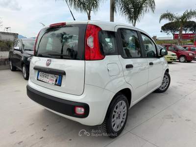 Fiat Panda ANNO 2018 1.3 MJT 95 CV usata Striano