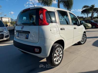 Fiat Panda ANNO 2019 900 NATURAL/POWER 84 CV usata Striano