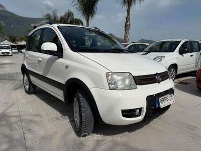 Fiat Panda 4x4 ANNO 2011 1.3 MJT 75 CV usata Striano