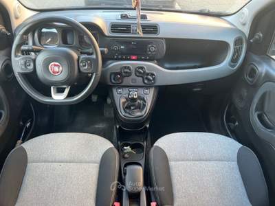 Fiat Panda Fiat Panda 1.2 EasyPower Pandazzurri #10973 Grigio usata Settimo Torinese