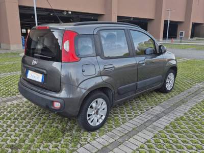 Fiat Panda Fiat Panda 1.2 EasyPower Pandazzurri #10973 Grigio usata Settimo Torinese