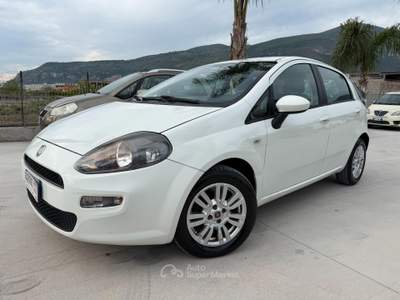 Fiat Punto ANNO 2013 1.3 MJT 75 CV usata Striano