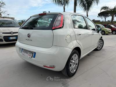 Fiat Punto ANNO 2013 1.3 MJT 75 CV usata Striano