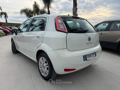 Fiat Punto ANNO 2013 1.3 MJT 75 CV usata Striano