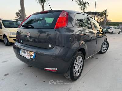 Fiat Punto ANNO 2012 1.3 MJT 75 CV usata Striano