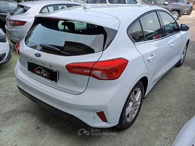 Ford Focus 5P 1.5 EcoBlue 95CV Business Bianco usata Giugliano in Campania
