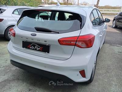 Ford Focus 5P 1.5 EcoBlue 95CV Business Bianco usata Giugliano in Campania