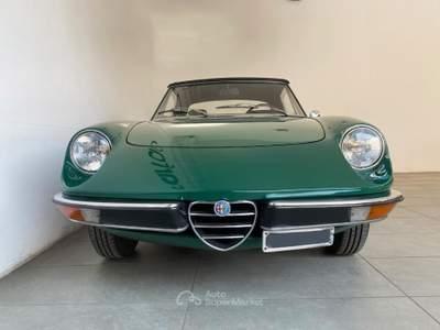 Alfa Romeo Spider Alfa Romeo 105 91 Verde usata Bergamo