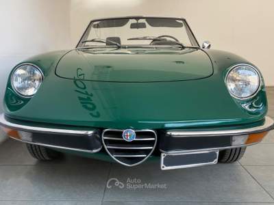 Alfa Romeo Spider Alfa Romeo 105 91 Verde usata Bergamo