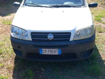 Fiat Punto null usata Barberino di mugello