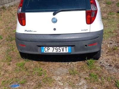 Fiat Punto null usata Barberino di mugello