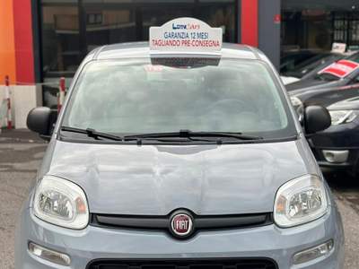Fiat Panda FireFly S&S Hybrid NEOPATENTATI usata Brescia