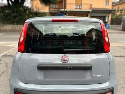 Fiat Panda FireFly S&S Hybrid NEOPATENTATI usata Brescia