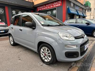 Fiat Panda FireFly S&S Hybrid NEOPATENTATI usata Brescia